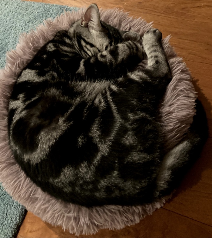 バッテリー